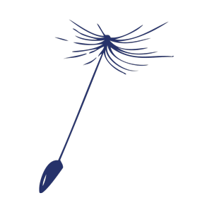 Sommertagebuch_pusteblume_kleiner